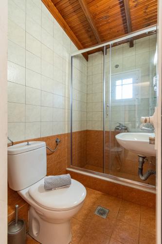 triple_studio_a4_8175